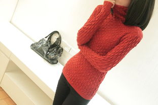 馨慧依 2012秋冬新品熱賣(mài) 高領(lǐng)彈力修身菠蘿紋針織打底毛衣